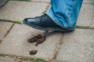 a shoe about to step in dog poop on a sidewalk