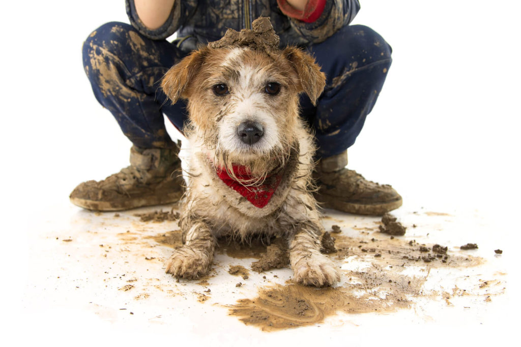 dog and owner covered in dog poop and mud