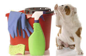 a dog raising a paw next to cleaning supplies