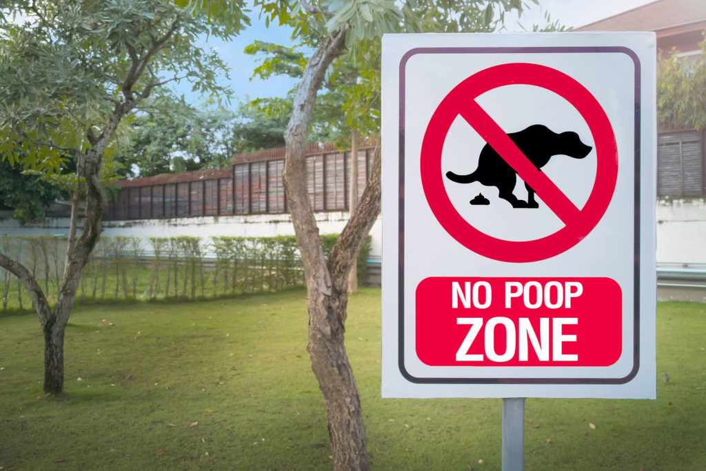 how to stop stray dogs from pooping in your yard