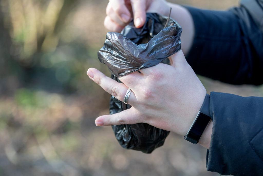 a person holding a dog waste bag 