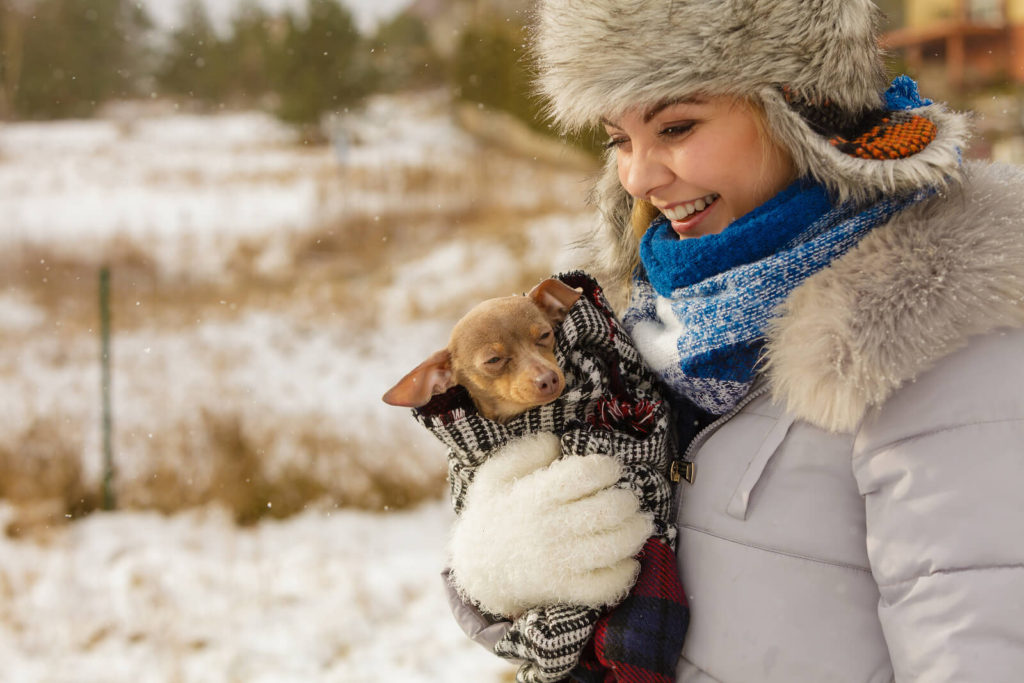woman holding a small dog in the snow