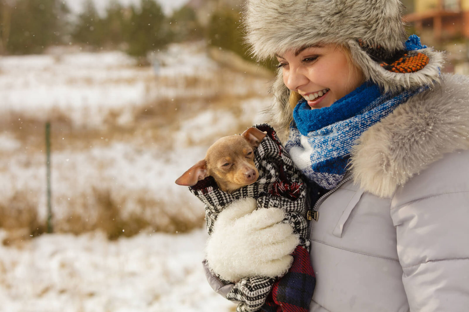 What to Do If Your Dog Won't Poop in the Snow Scoop Troop